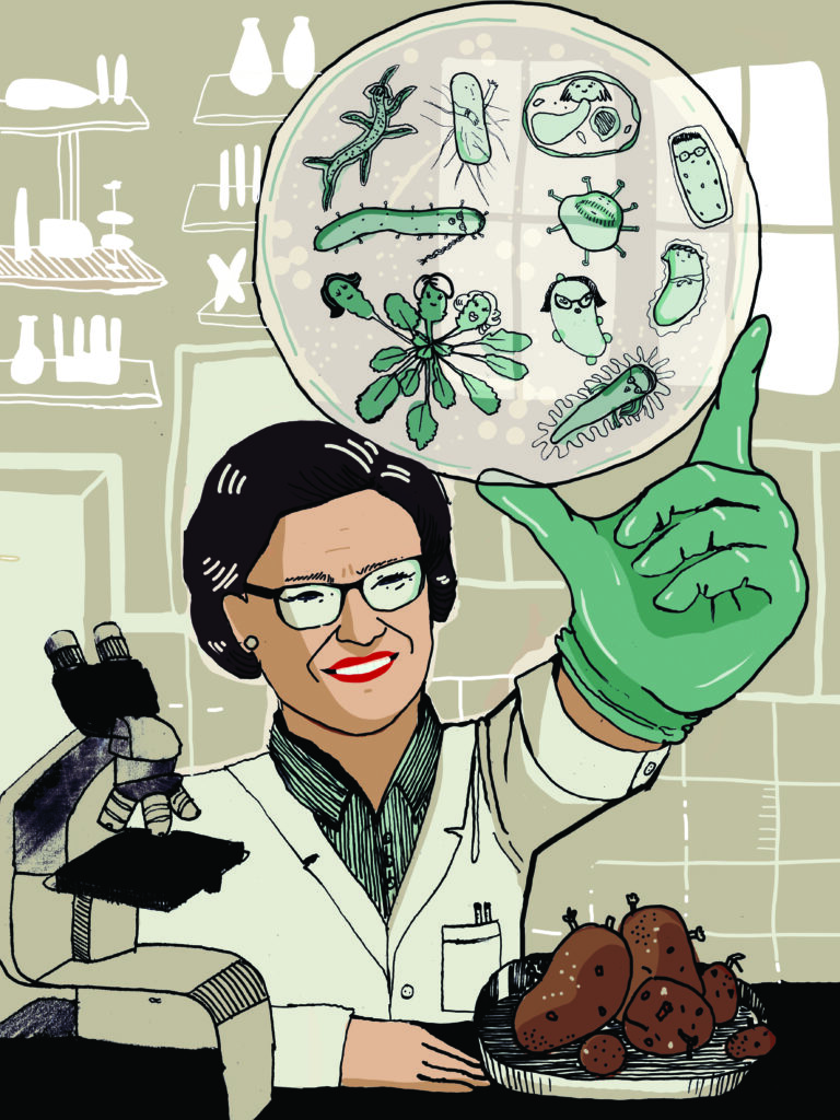 Qotil jinsiy pozitsiyalari